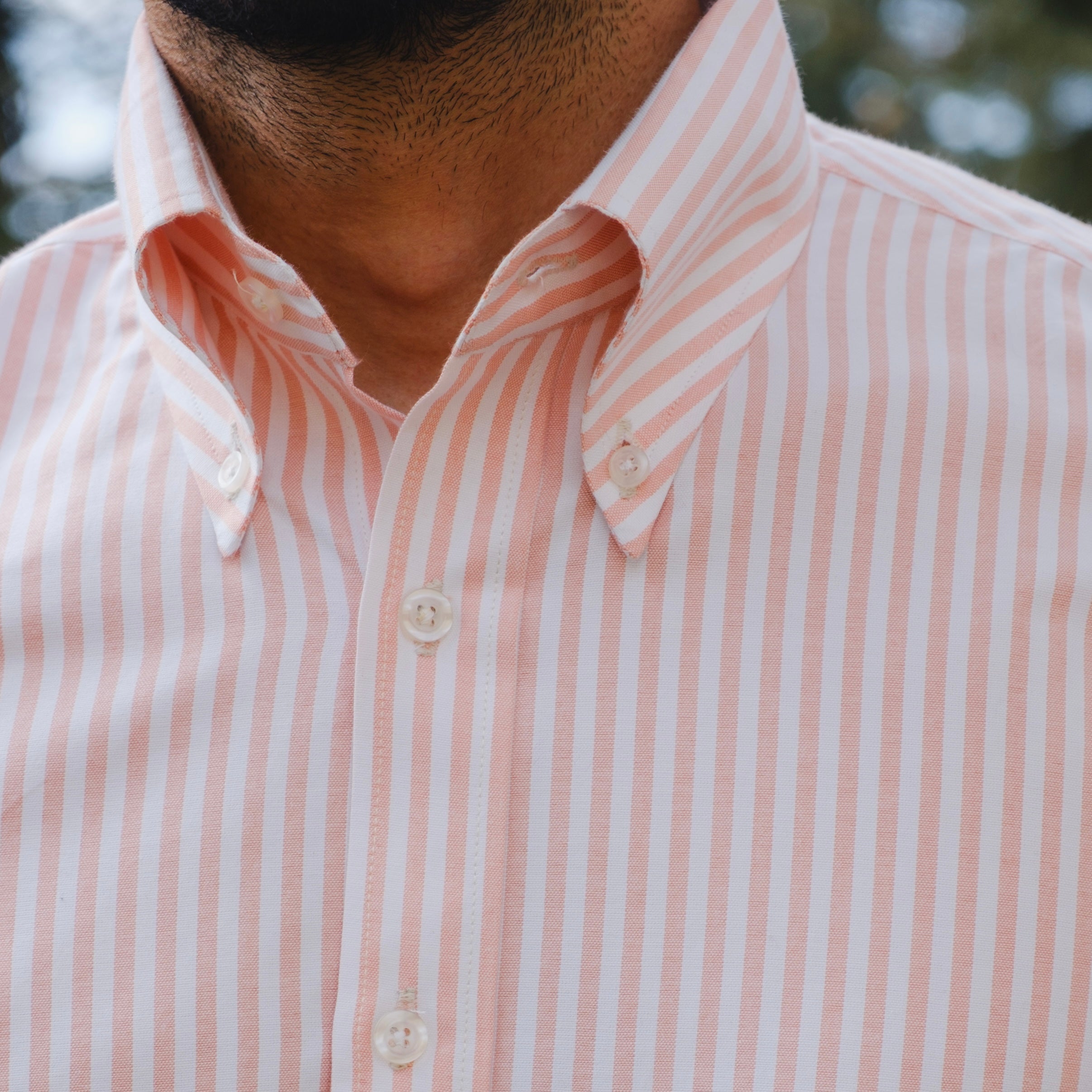 CALABRIA PEACH SIGNATURE STRIPED BUTTON DOWN SHIRT