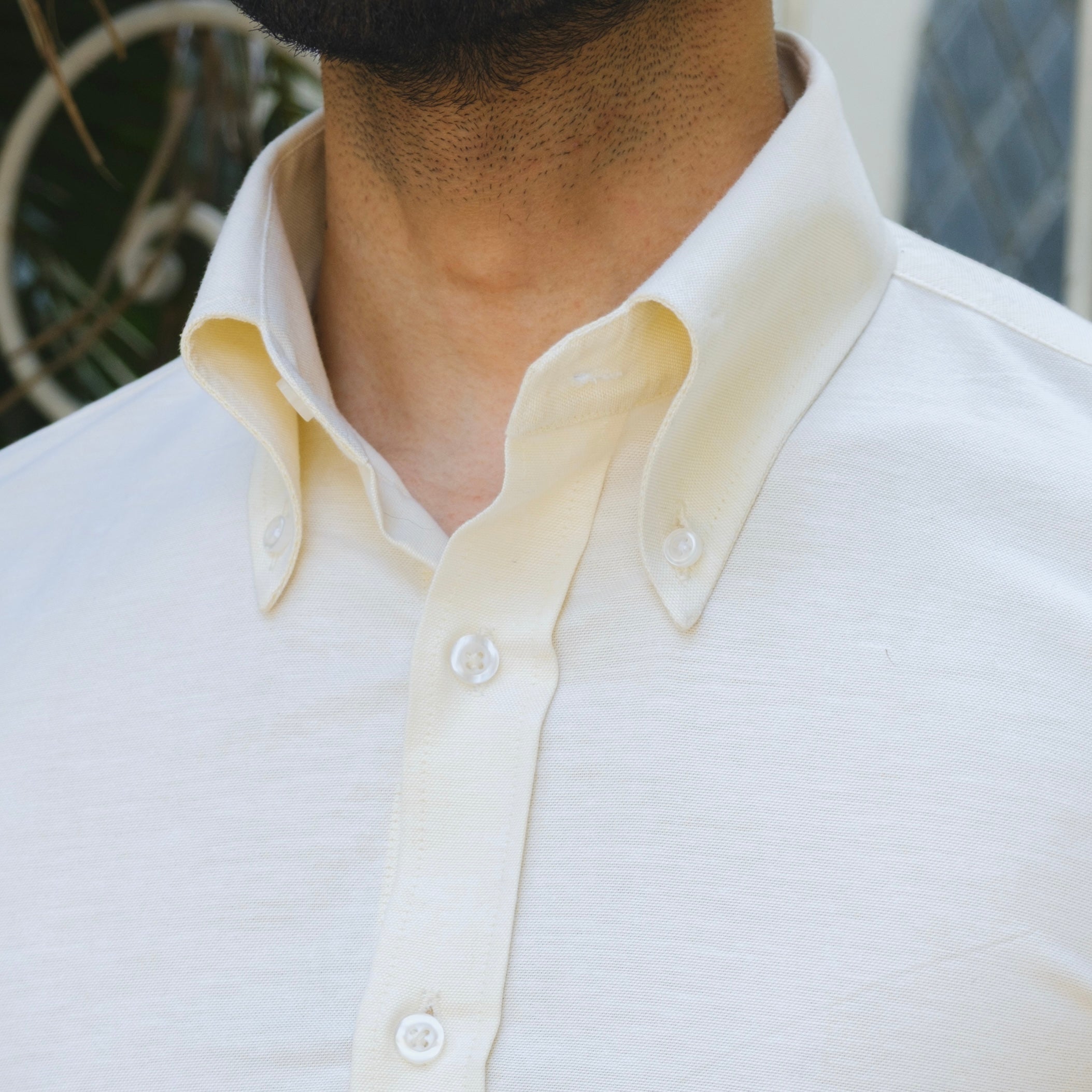 CAMERINO BUTTER YELLOW OXFORD BUTTON DOWN SHIRT