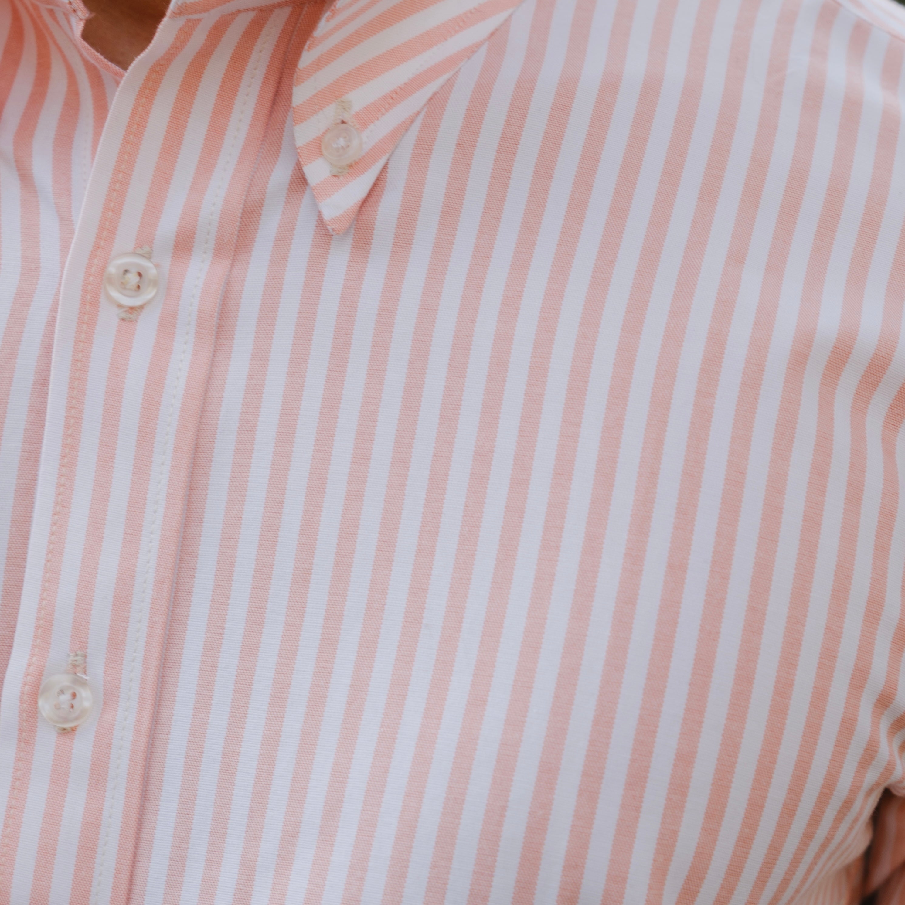 CALABRIA PEACH SIGNATURE STRIPED BUTTON DOWN SHIRT